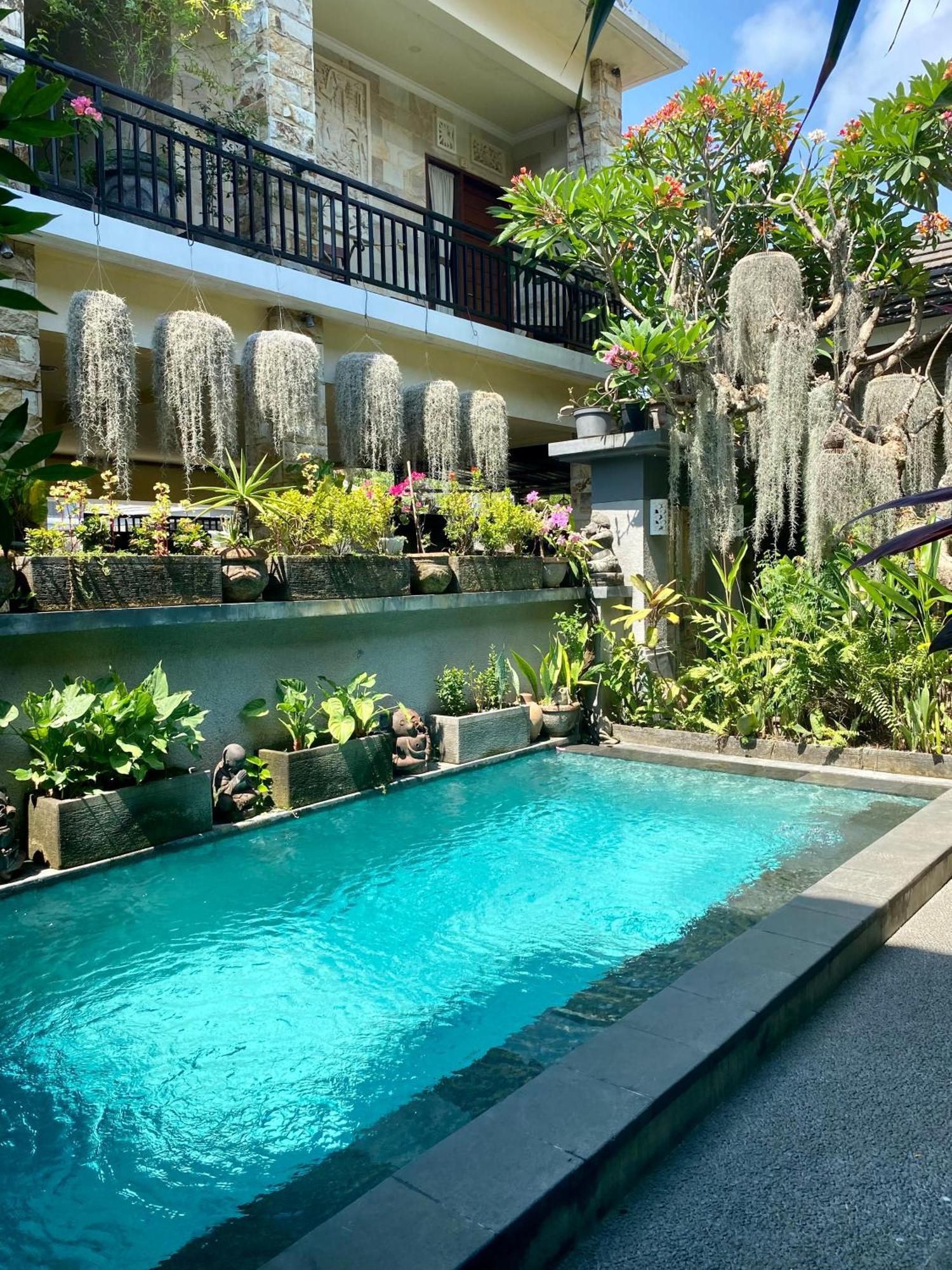 Frog Homestay